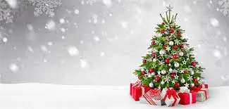 Eine schöne Weihnachtsüberraschung