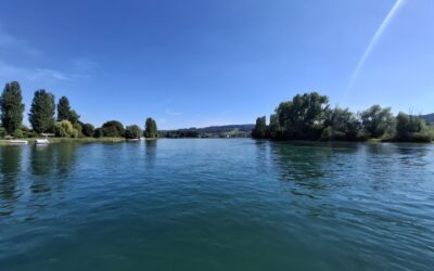 ⚓️ Entwarnung am Bodensee: Volle Fahrt voraus! 🌊